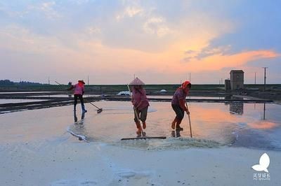蚌埠龍魚魚缸廠家：蚌埠龍魚魚缸，打造水族藝術的極致之美