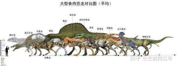 十大食肉恐龍排名