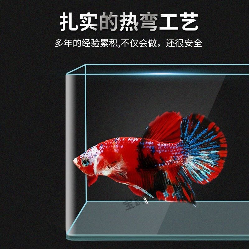 定制魚缸合同的選擇：__________________