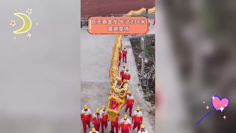 金龍最大可以長(zhǎng)到多大
