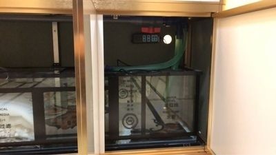 漢霸魚缸和德克魚缸哪個好：漢霸魚缸和德克魚缸對比分析