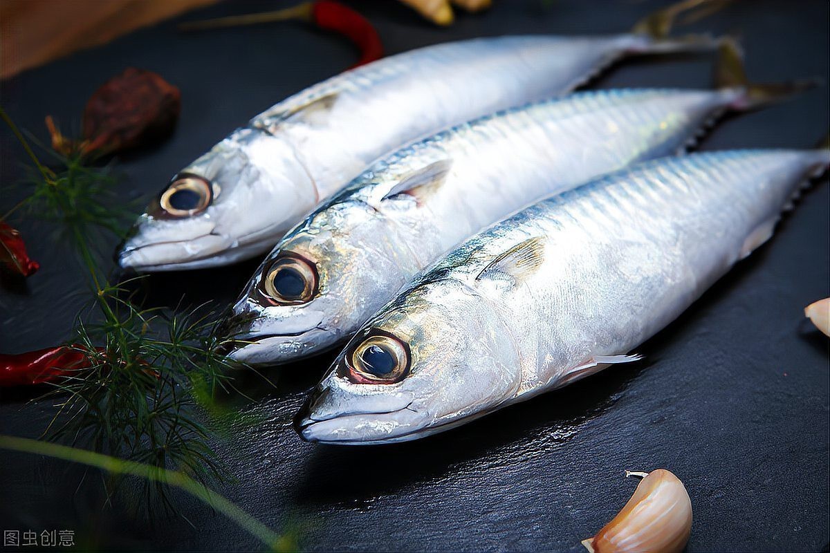 青花魚在國內叫什么魚 青花魚在國內叫什么魚 龍魚論壇 第2張