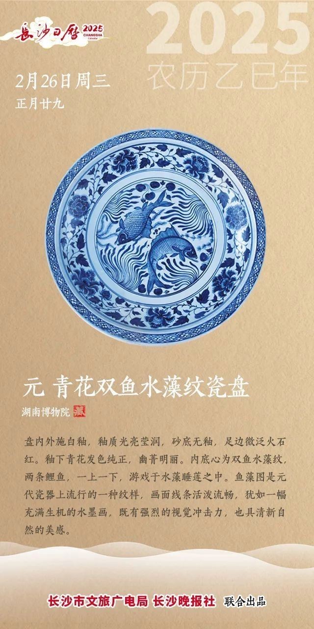 青花魚在國內叫什么魚 青花魚在國內叫什么魚 龍魚論壇 第8張