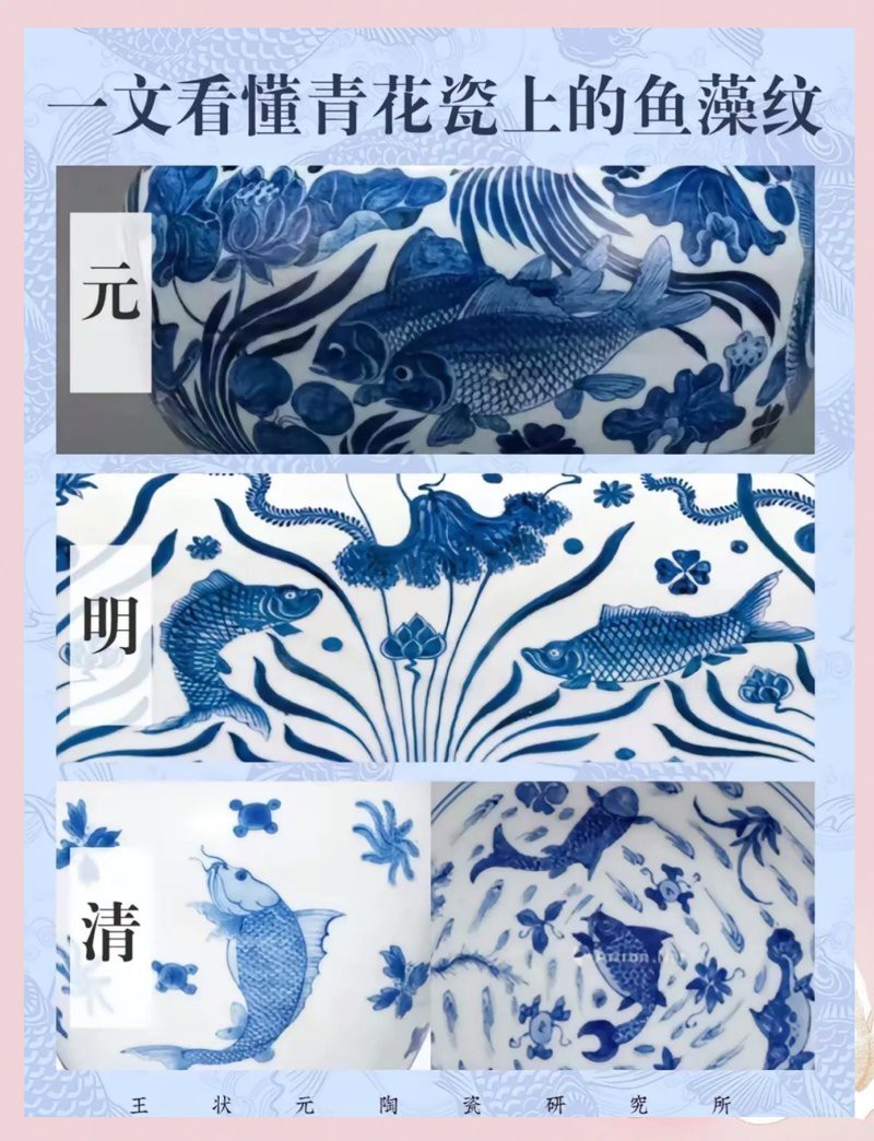 青花魚在國內叫什么魚 青花魚在國內叫什么魚 龍魚論壇 第7張