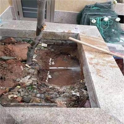 魚缸漏水怎么處理：魚缸漏水可能會影響觀賞魚造成影響觀賞魚造成的重要手段