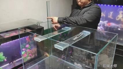 魚缸漏水怎么處理：魚缸漏水可能會影響觀賞魚造成影響觀賞魚造成的重要手段