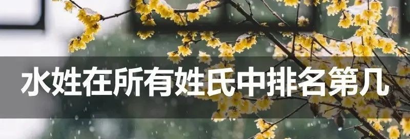解決底濾魚缸魚糞便吸不走的方法：如何解決底濾魚缸魚糞便吸不走