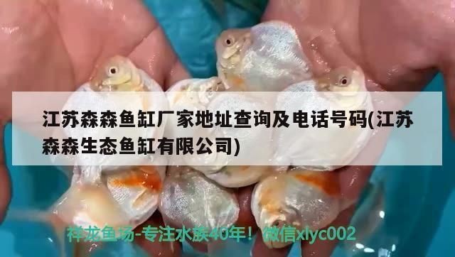 森森生態(tài)魚缸廠家地址：江蘇森森生態(tài)魚缸廠家地址