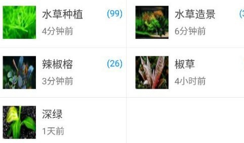 南美水族論壇無法登錄