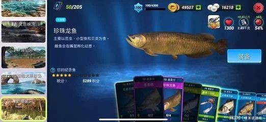 龍魚都市：\"龍魚都市\"可能是由多種因素引起的