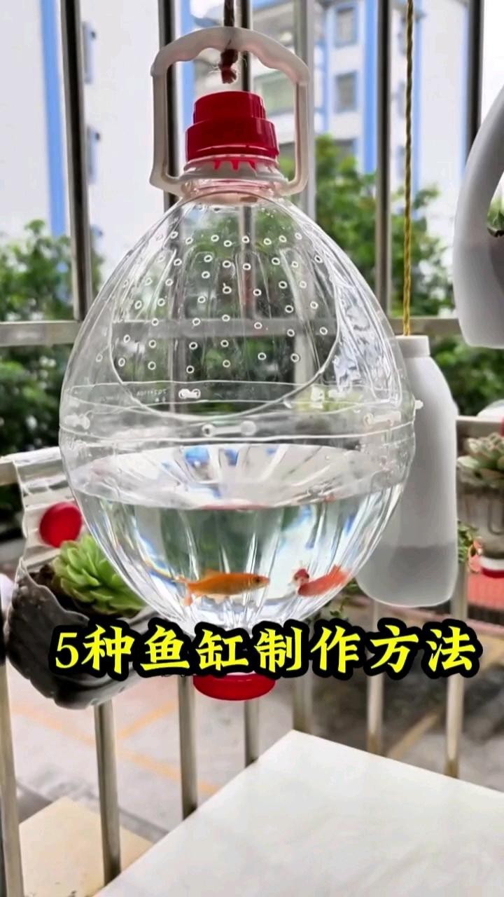 魚缸制作視頻教程全集
