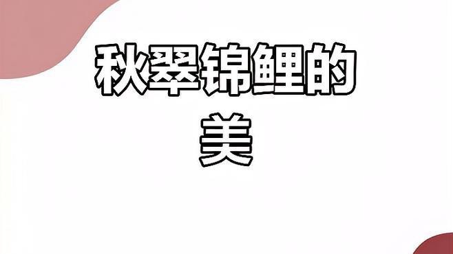 詳細閱讀:德系秋翠錦鯉的優(yōu)缺點 德系秋翠錦鯉的優(yōu)缺點