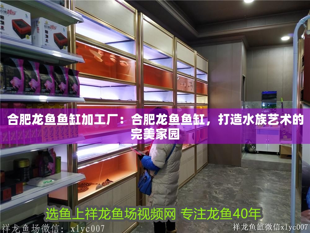 合肥龍魚魚缸加工廠：合肥龍魚魚缸，打造水族藝術的完美家園