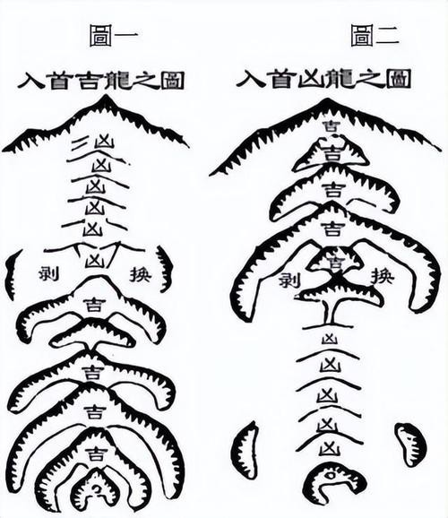 龍魚魚鰭發(fā)黑【如何判斷龍魚魚鰭發(fā)黑是正常現象還是健康問題？】