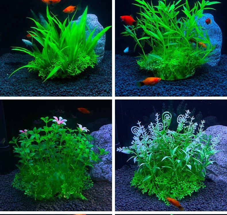 創魔魚缸擺件海草在哪：創造與魔法魚缸擺件海草在哪