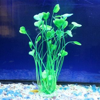 創魔魚缸擺件海草在哪：創造與魔法魚缸擺件海草在哪