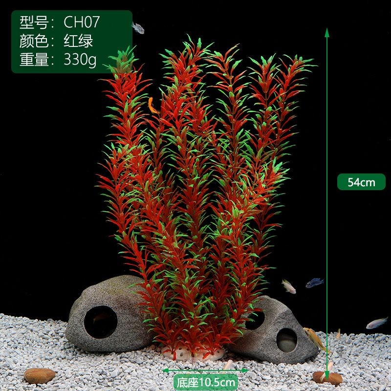創魔魚缸擺件海草在哪：創造與魔法魚缸擺件海草在哪