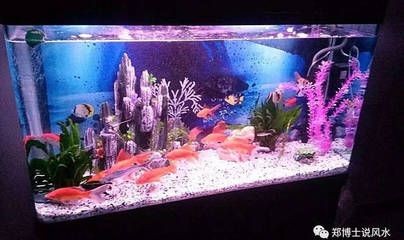 風水學中的魚缸形狀及其風水意義長方形魚缸風水禁忌：家居風水中的魚缸形狀與風水 風水學中的魚缸形狀及其風水意義長方形魚缸風水禁忌：家居風水中的魚缸形狀與風水 魚缸百科 第3張