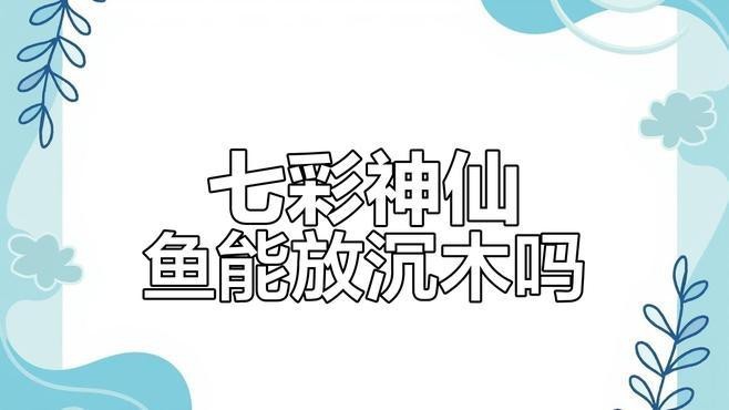 沉木可以直接放魚缸嗎