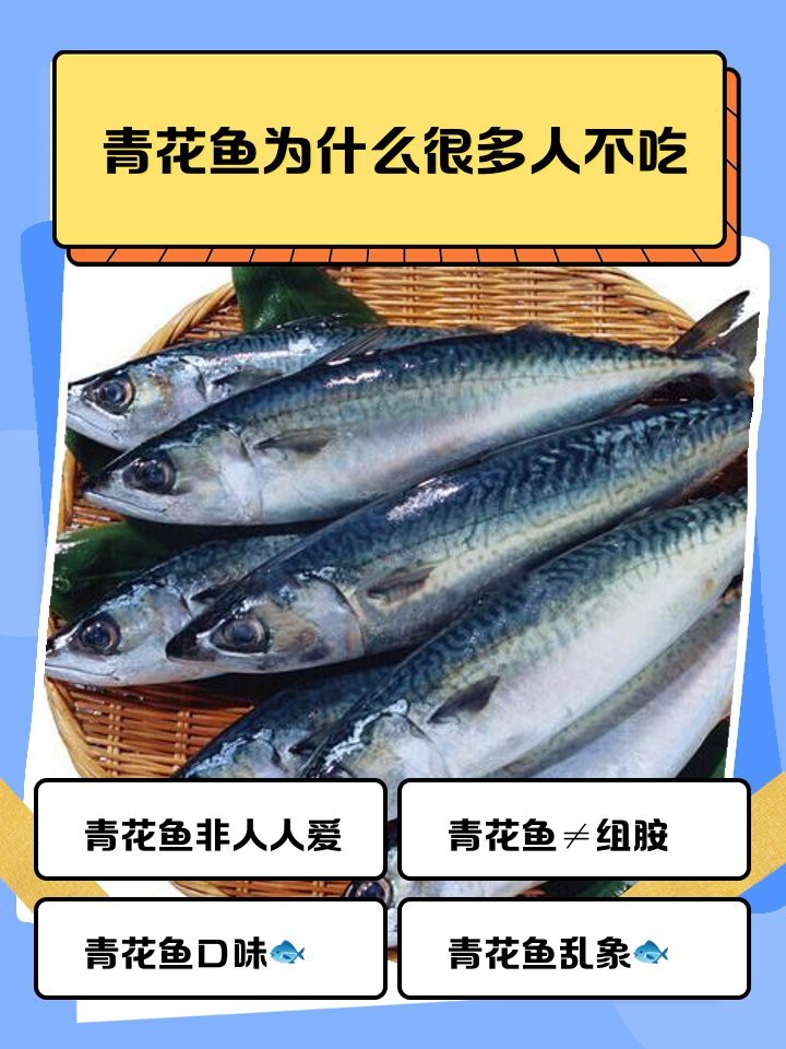 青花魚為什么很多人不吃