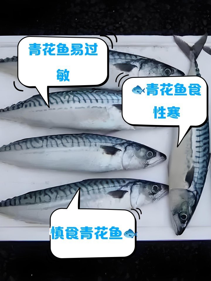 青花魚為什么很多人不吃