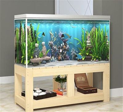 家里倆魚缸：魚缸風水布局的最佳實踐