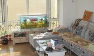 家里倆魚缸：魚缸風水布局的最佳實踐