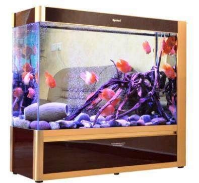 家里倆魚缸：魚缸風水布局的最佳實踐