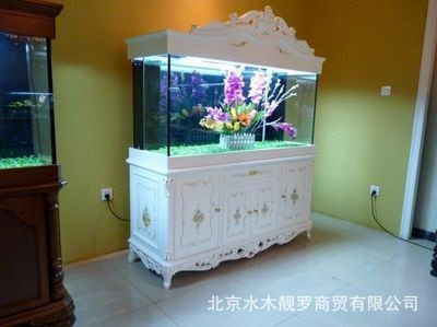 定制魚缸水族箱多少錢(定制魚缸水族箱價格) 魚缸百科 第1張 定制魚缸水族箱多少錢(定制魚缸水族箱價格) 定制魚缸水族箱多少錢(定制魚缸水族箱價格) 魚缸百科 第1張