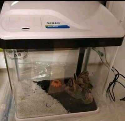 松寶魚缸水泵怎么安裝