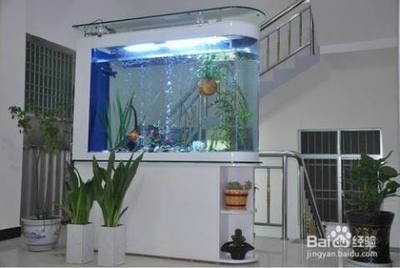 魚缸水白蒙蒙的霧狀是怎么辦（魚缸水白蒙蒙的霧狀怎么辦）