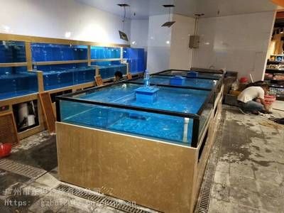 飯店海鮮魚缸的養(yǎng)殖技巧：飯店海鮮魚缸中養(yǎng)殖的海鮮魚缸的設(shè)計與布置技巧與布置技巧