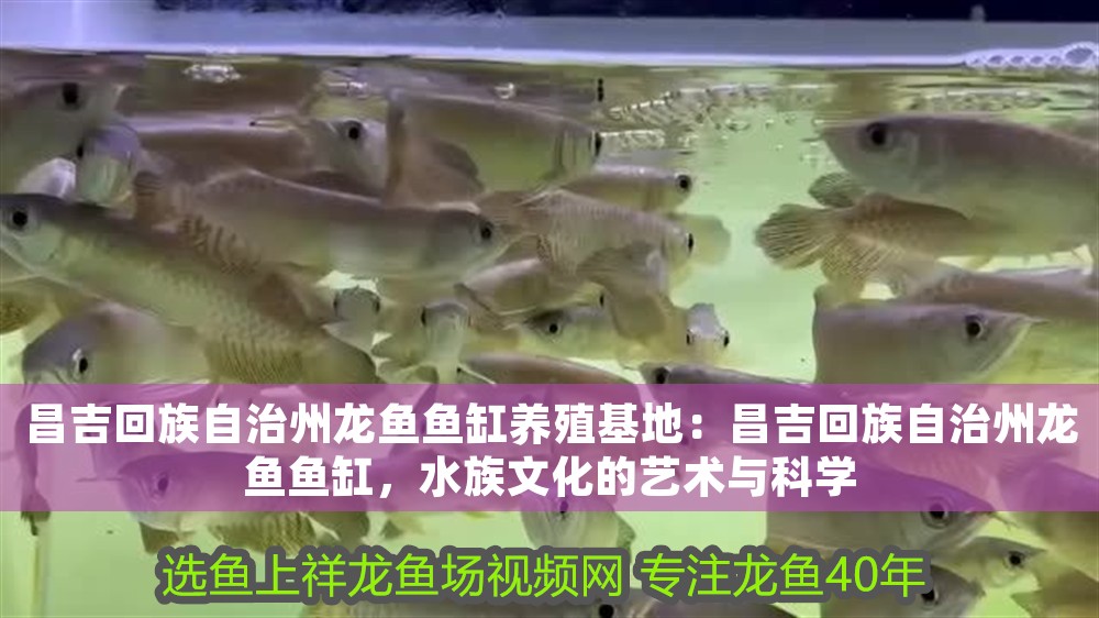 <strong><mark>昌吉回族</mark></strong>自治州龍魚魚缸養(yǎng)殖基地：<strong><mark>昌吉回族</mark></strong>自治州龍魚魚缸，水族文化的藝術(shù)與科學(xué)