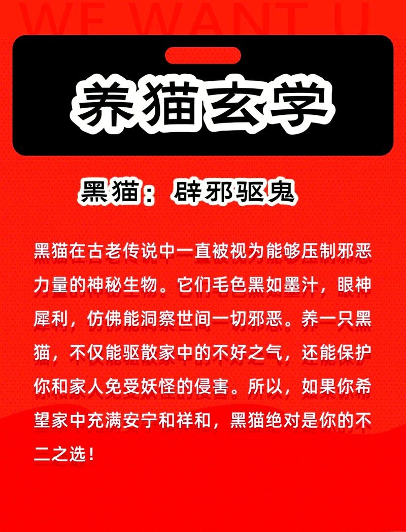 龍貓在風水上的寓意