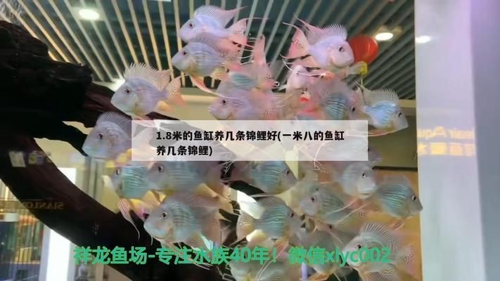 一米的魚缸用幾個厚的玻璃好：一米魚缸玻璃厚度如何選擇
