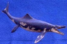 泰曼魚龍有哪些已知物種？