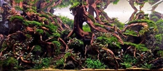 如何設計魚缸層次結構：設計一個魚缸層次結構需要考慮多個因素，客廳魚缸防潮設計方法