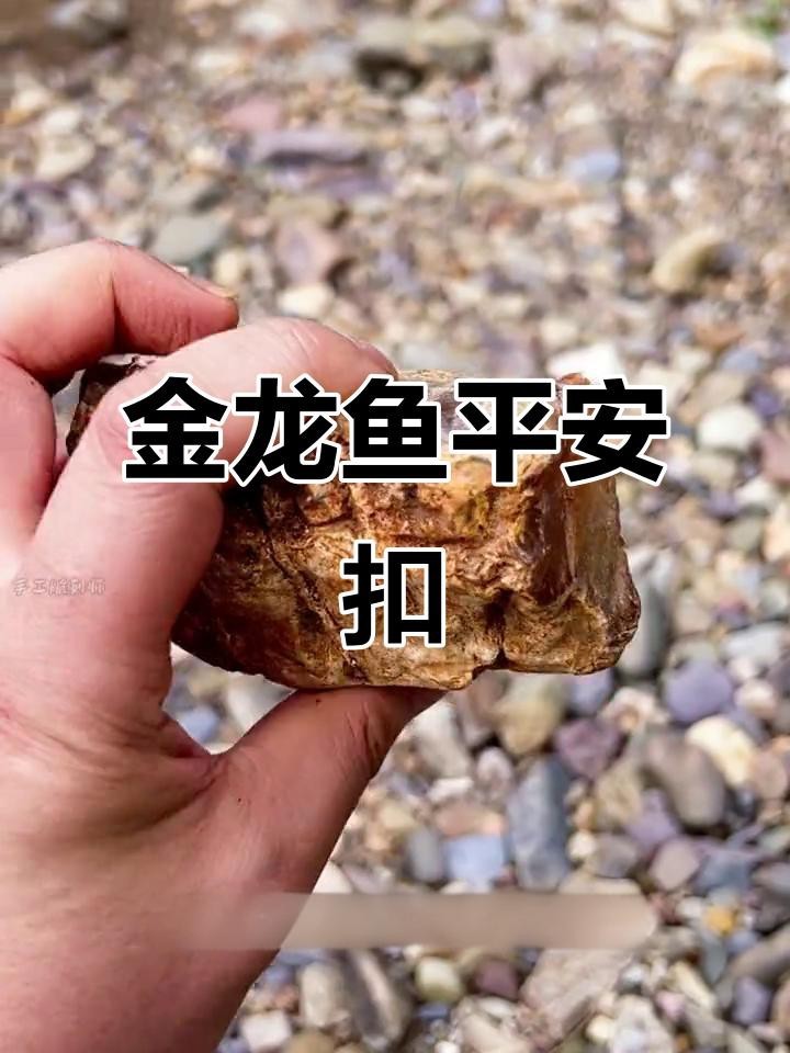 詳細介紹一下寶石金龍魚的特征