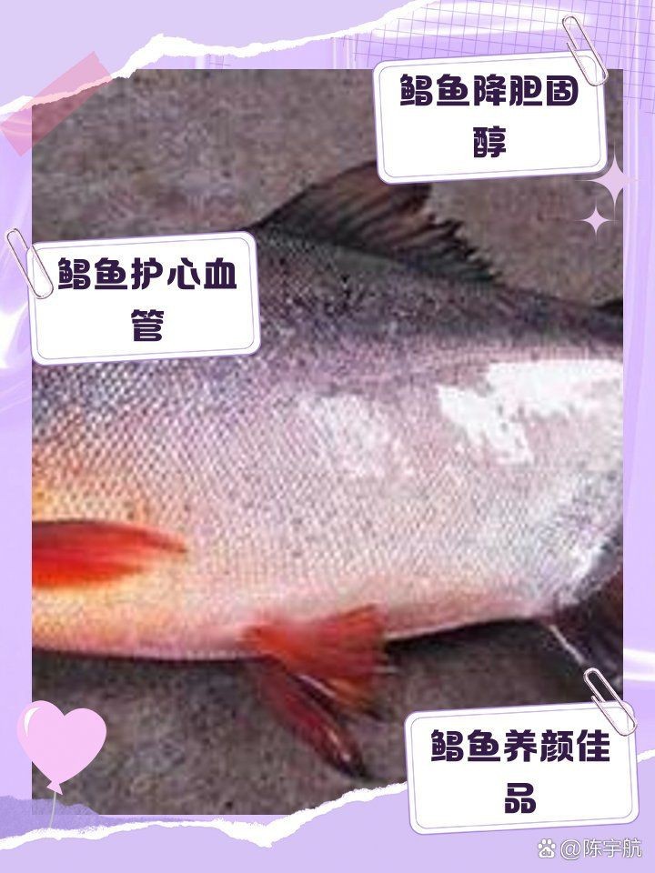 紅鯧魚吃了有啥好處
