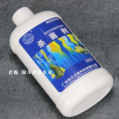 魚缸消毒的最佳時機定期給魚缸消毒時機定期給魚缸消毒：如何給魚缸消毒