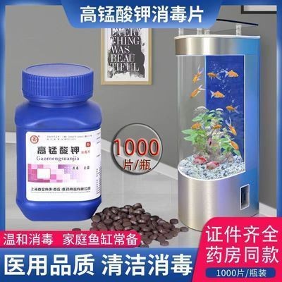 魚缸消毒的最佳時機定期給魚缸消毒時機定期給魚缸消毒：如何給魚缸消毒