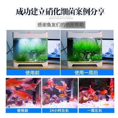 海豚魚缸：海豚魚缸價格范圍，海豚魚缸設計風格