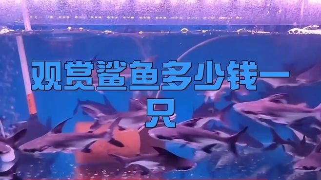 福滿客app平臺