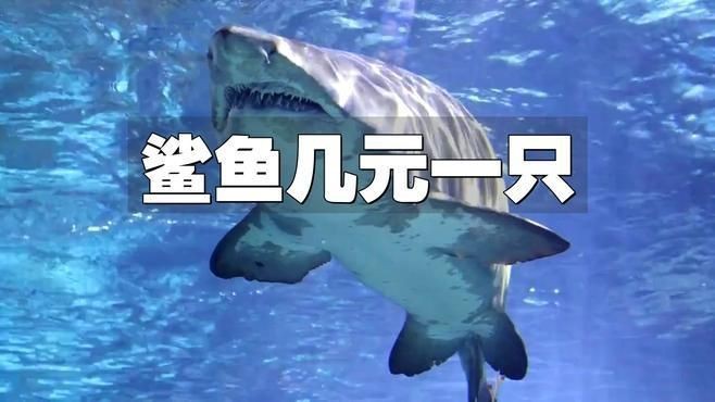 福滿客app平臺