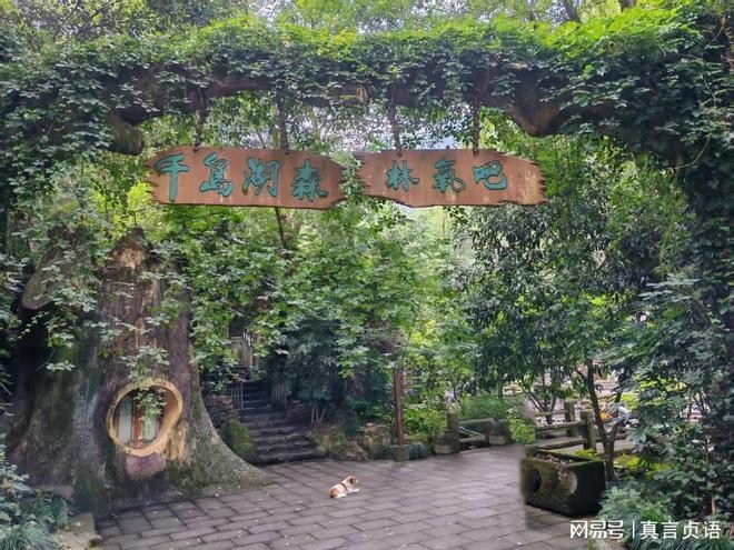 千島湖是哪個區(qū)哪個縣