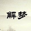 紅寶石魚公母最簡單區分