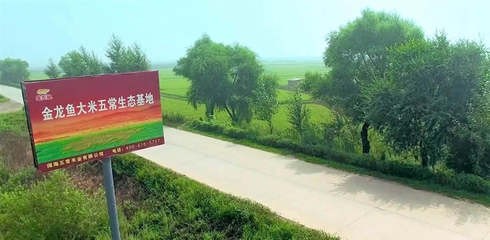 巧家縣白鶴灘鎮景星水族商店（巧家縣白鶴灘鎮圖片）