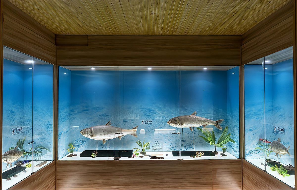 雙線魚側混養最佳搭配圖