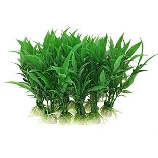 可麗愛魚缸怎么加水的（可麗愛魚缸加水后如何調節水溫魚缸加水的最佳時間段）