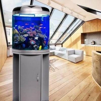 廣州魚缸廠家廣東魚缸品牌廣東魚缸廠家廣東魚缸廠家：廣州賣魚缸的地方